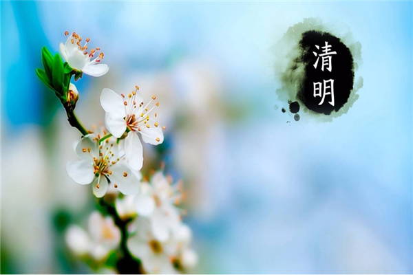 中信彩喷塑设备厂家 | 清明时节哀思中蕴含着希望