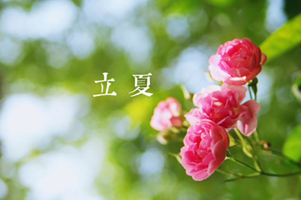 中信彩涂装|立夏,万物向阳,且共成长